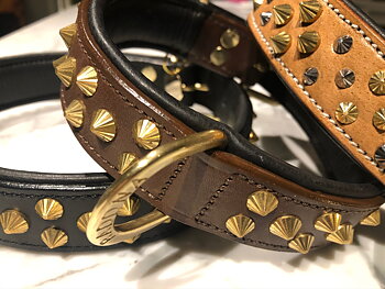 Raddna Collection Kalix Dog Collar Brown