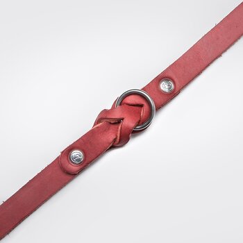 Cloud7 Dog&nbsp;Collar Riverside Park Red