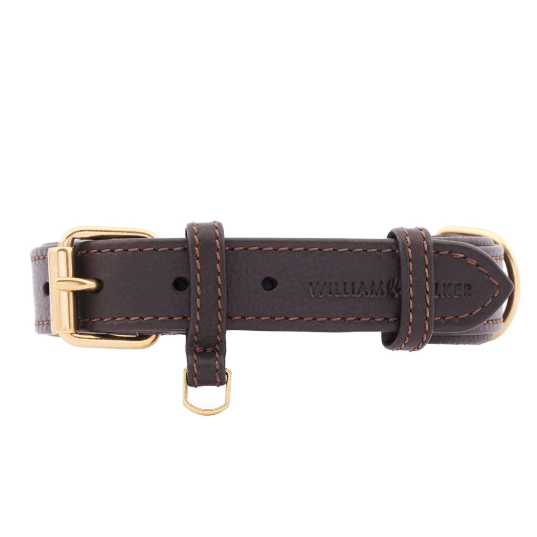 William Walker Dog Collar Earth