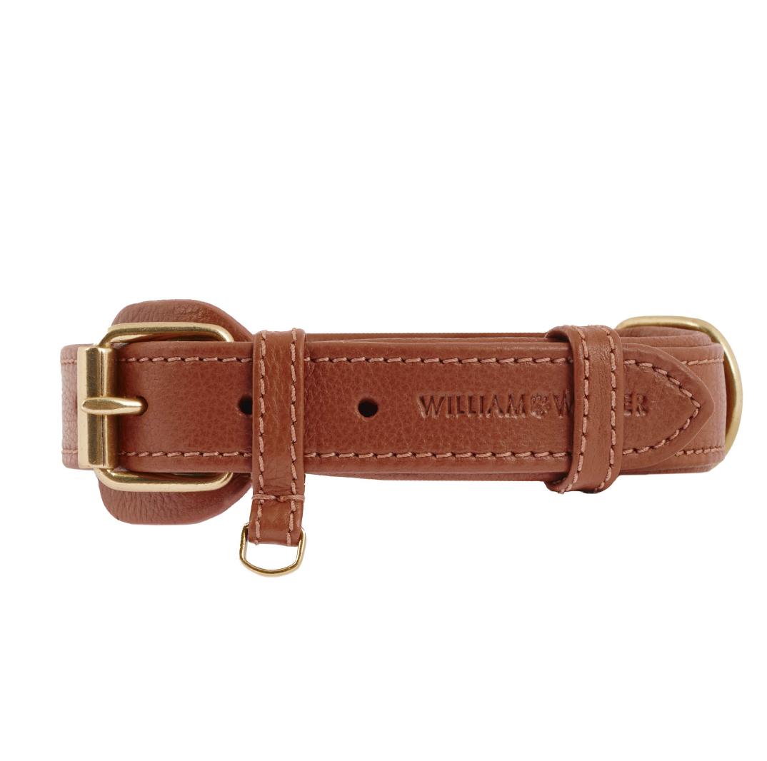 William Walker Dog Collar Caramel