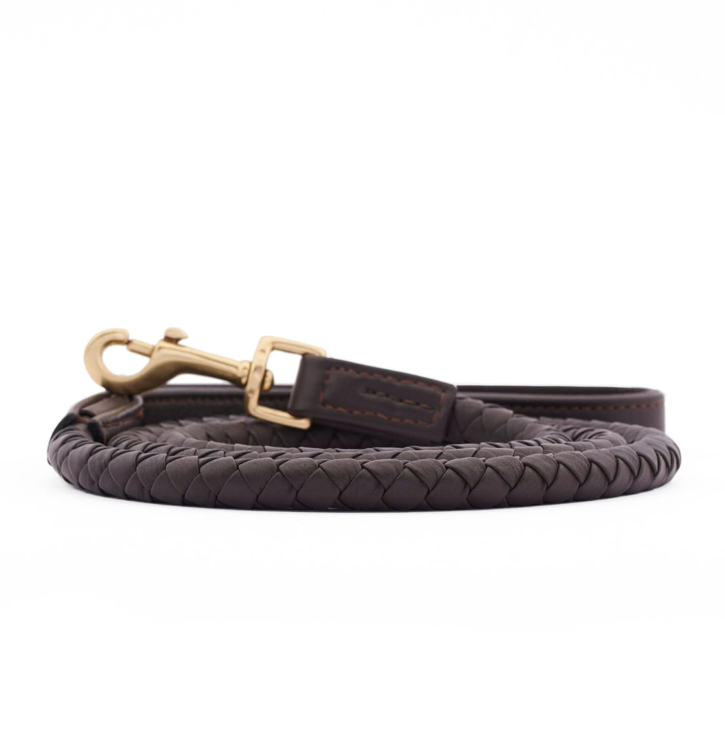 William Walker Twisted Earth Dog Leash