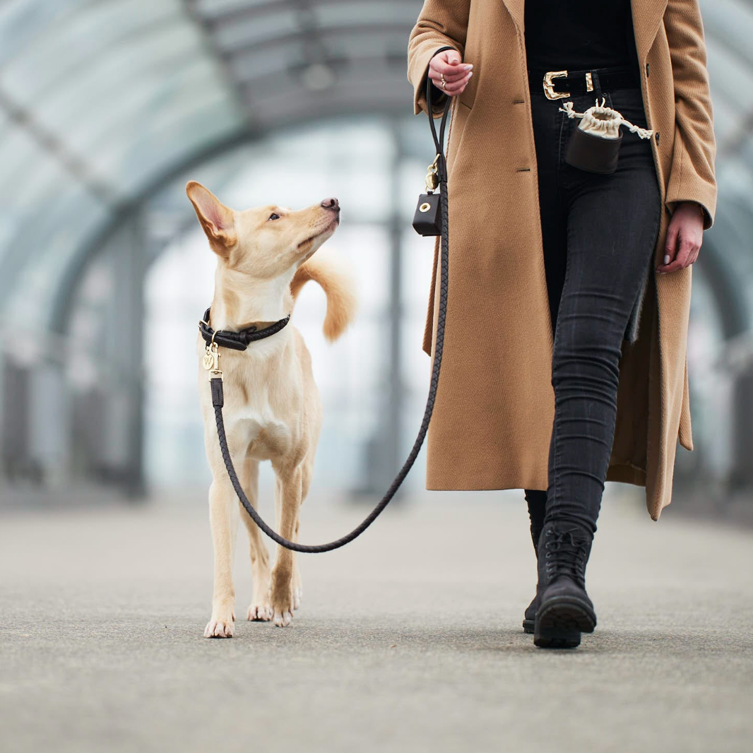 William Walker Twisted Earth Dog Leash - 2