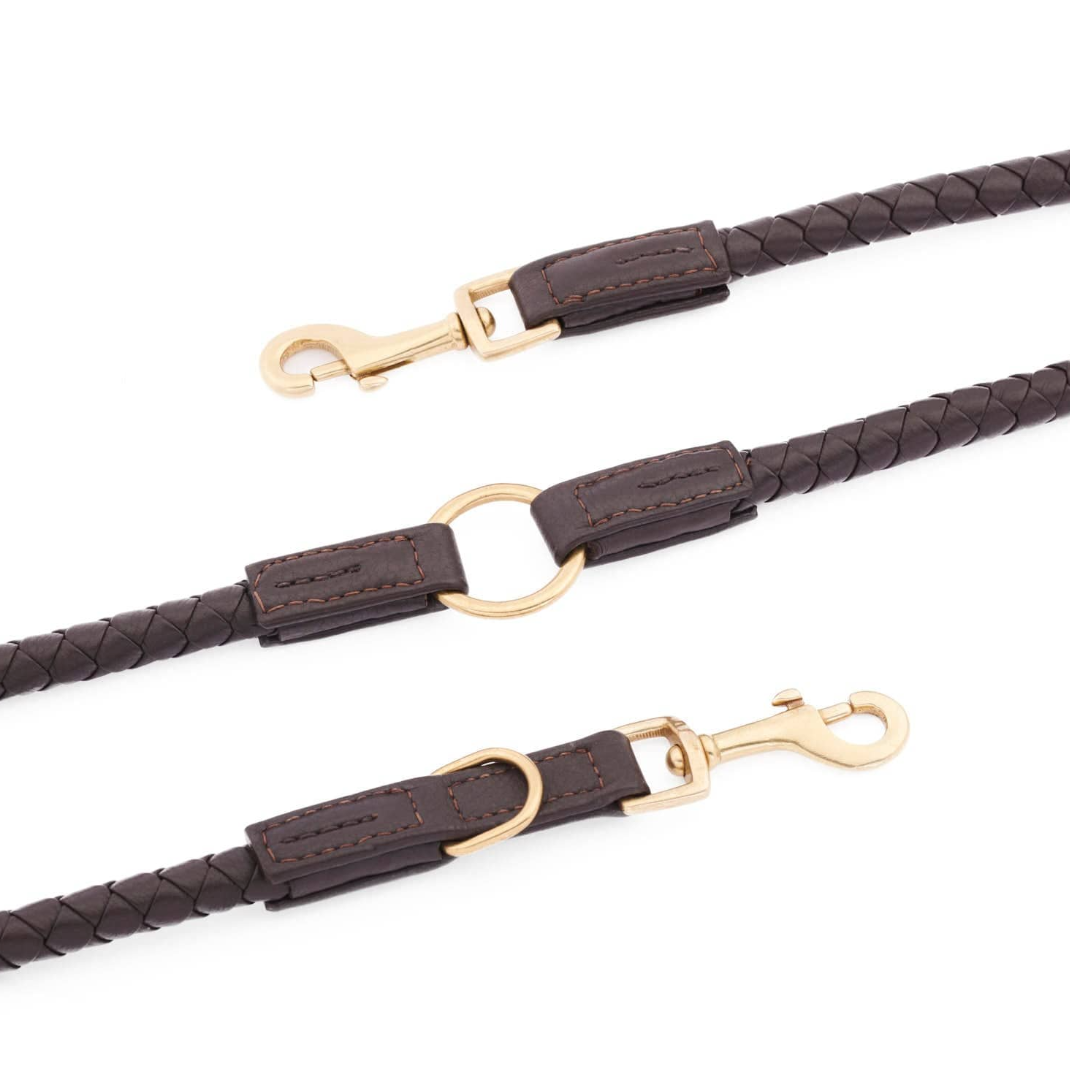 William Walker Twisted Earth Dog Leash - 3
