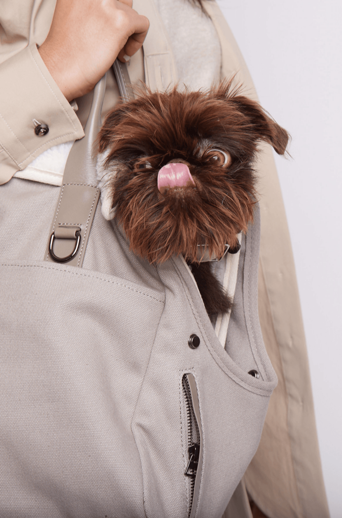 Max Bone City Carrier Bag - 3