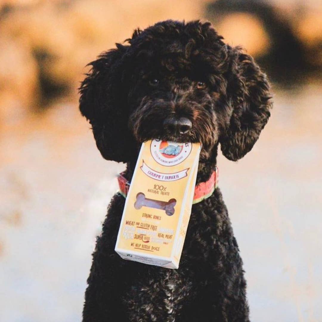 Cooka's Cookies Gourmet Burger - Natural Dog Treats - 3