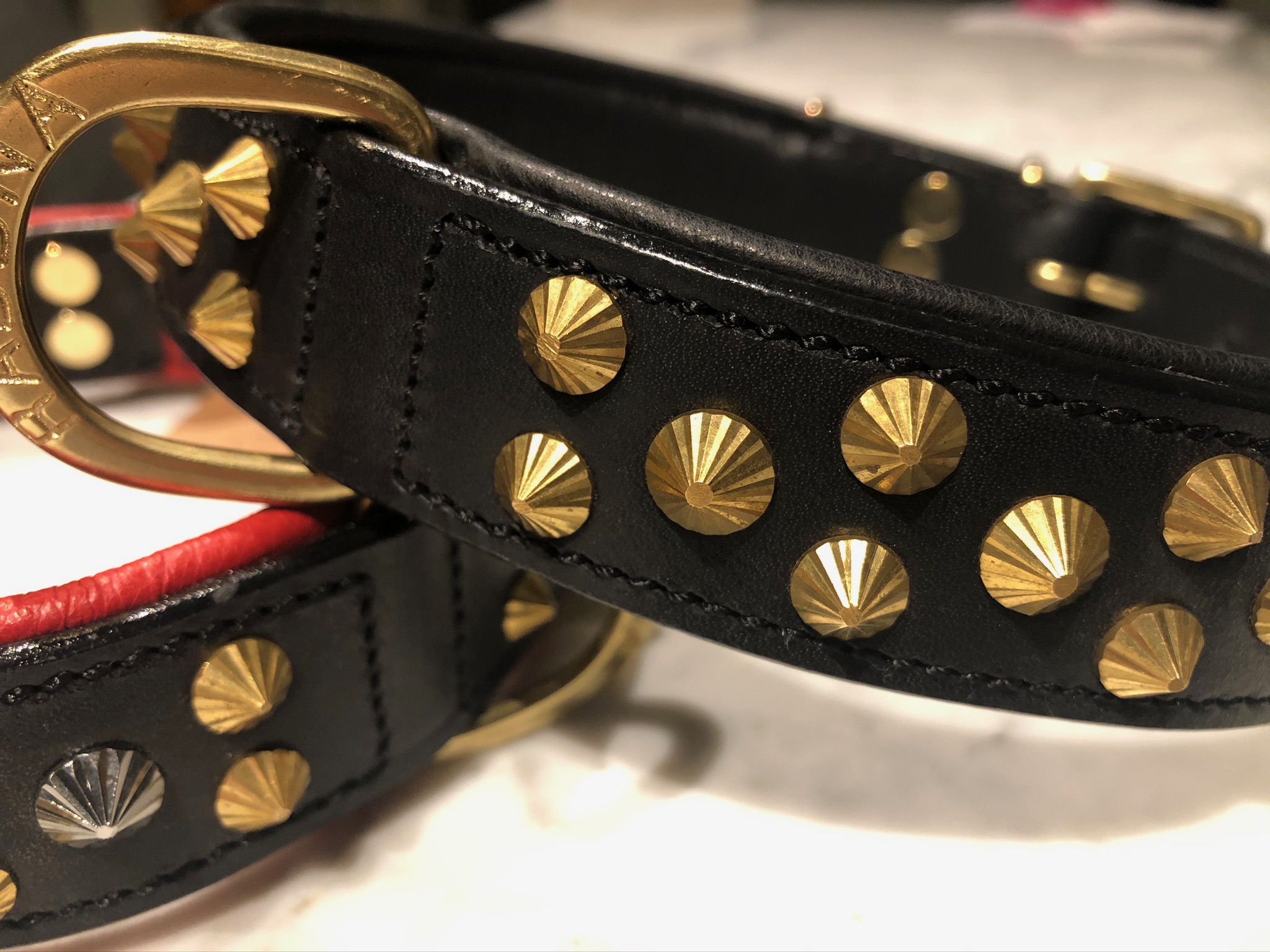 Raddna Collection Kalix Black With Brass Stud Dog Collar - 2