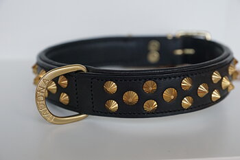 Raddna Collection Kalix Black With Brass Stud Dog Collar
