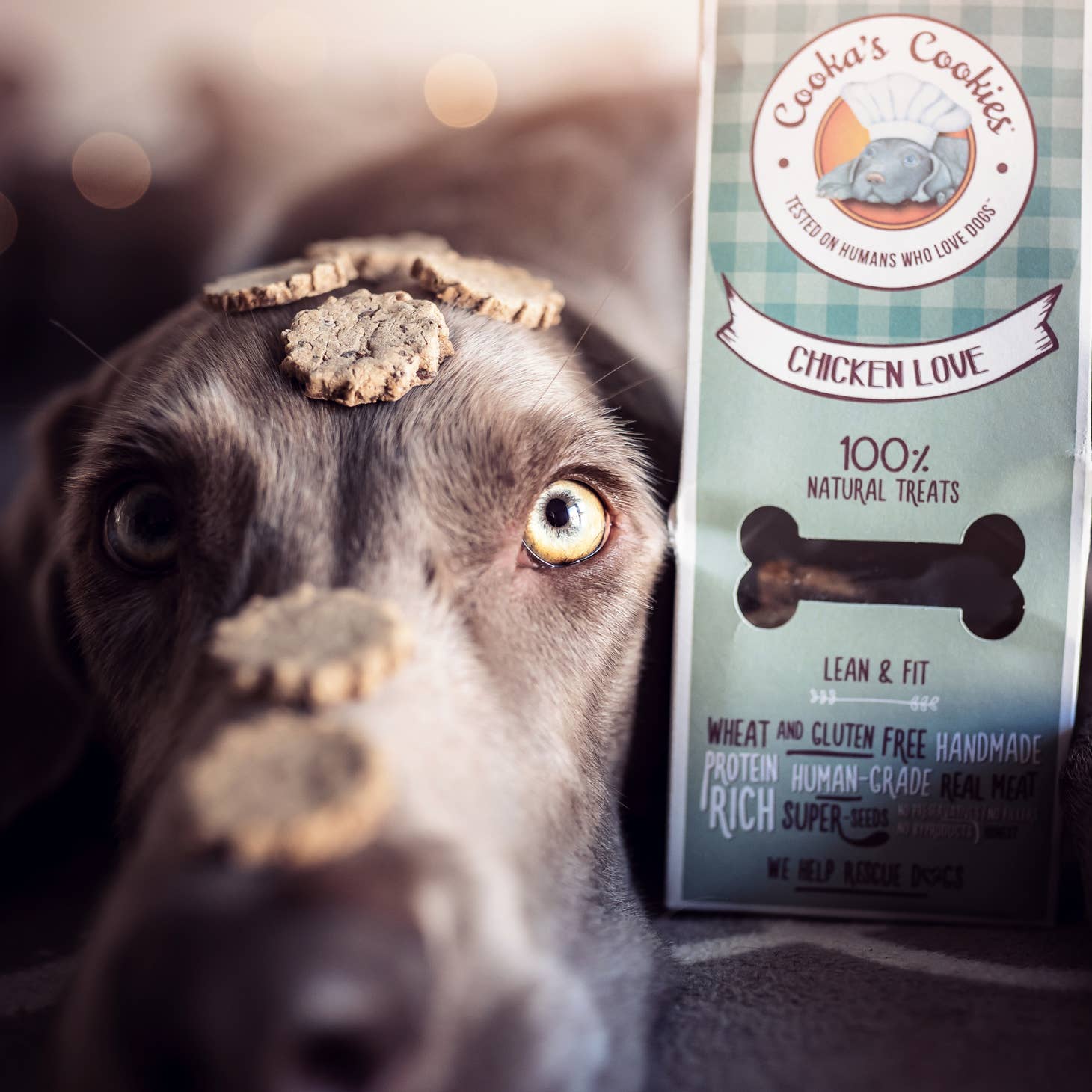 Cooka's Cookies Chicken Love - Natural Dog Treats