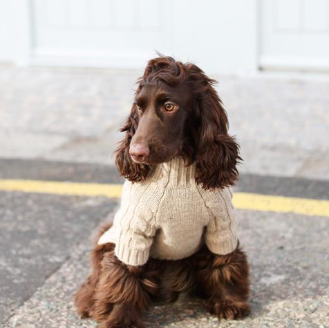 Overglam Turtleneck Knitwear  Sand