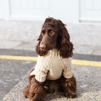 Overglam Turtleneck Knitwear  Sand