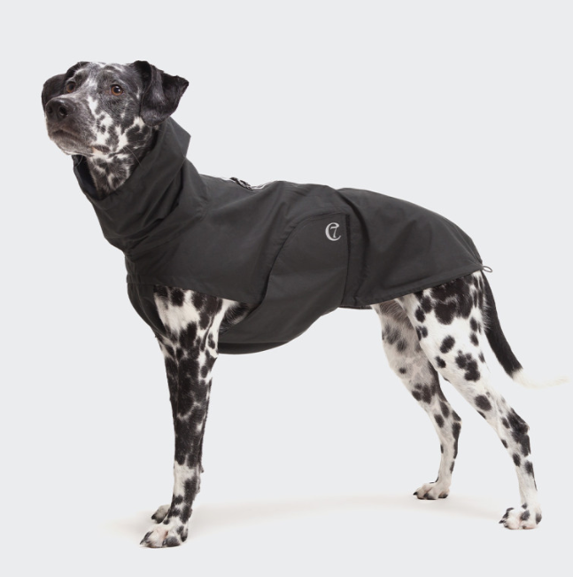 Cloud7 Dog Rain Jacket Dublin Slate - 3
