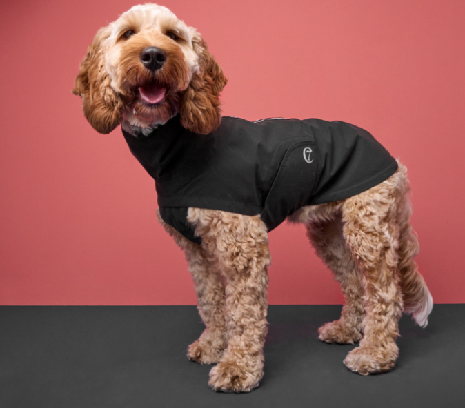 Cloud7 Dog Rain Jacket Dublin Slate