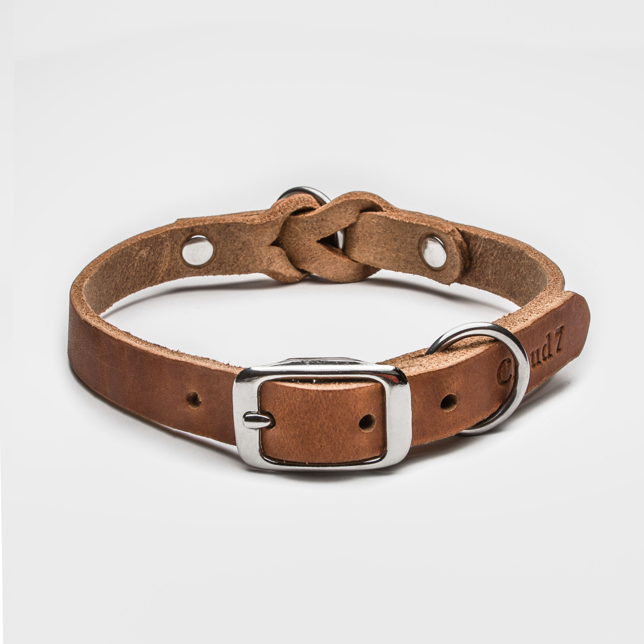 Cloud7 Dog Collar Riverside Park Camel