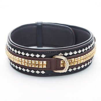 Raddna Collection Rome Dog Collar