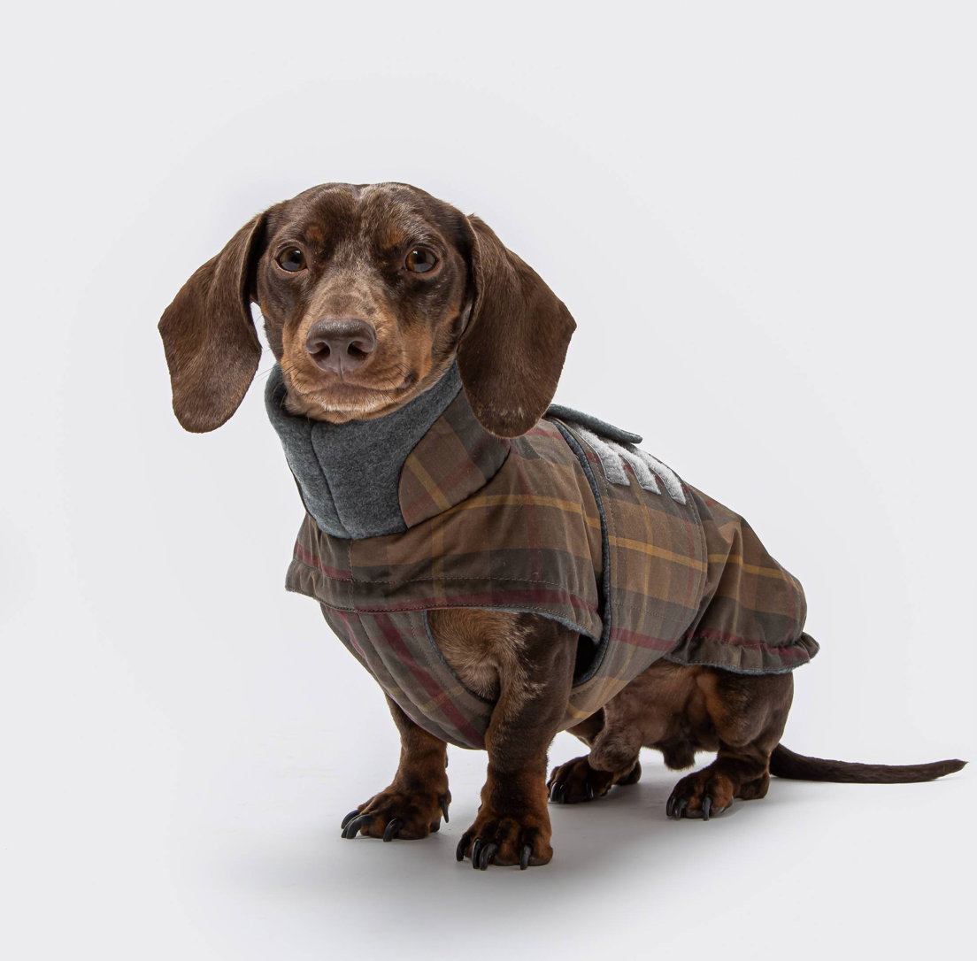 Cloud7 Dachshund Brooklyn Tartan Dog&nbsp;Jacket - 2