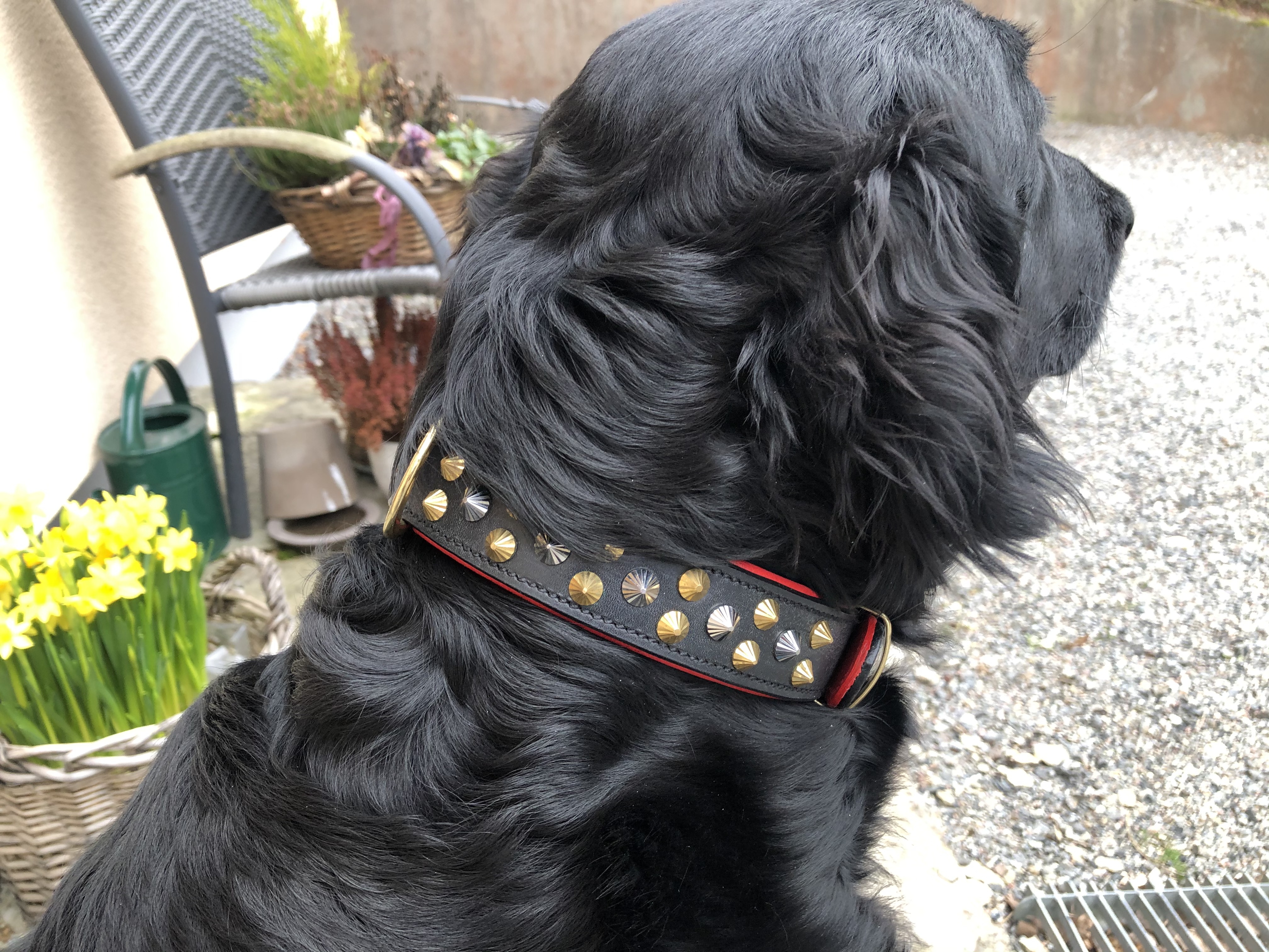 Raddna Collection Calix Black/Red With Rivets In Brass & Stainless Steel - 3