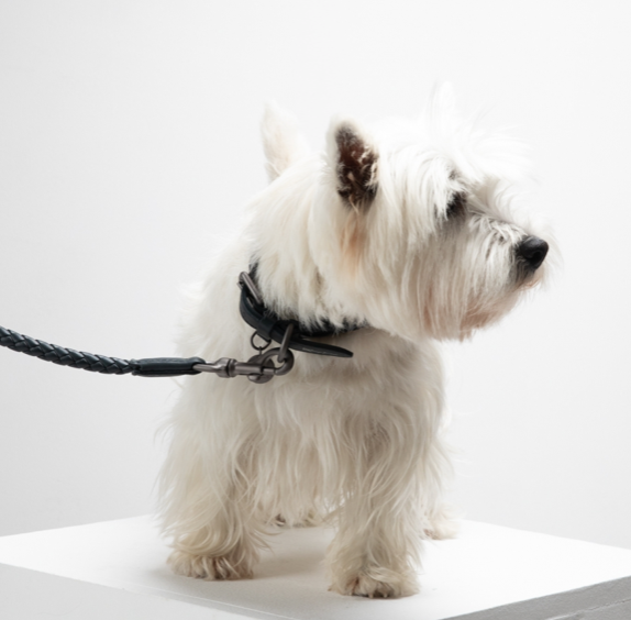2.8 Ferdinando Leather Dog Collar Black - 3