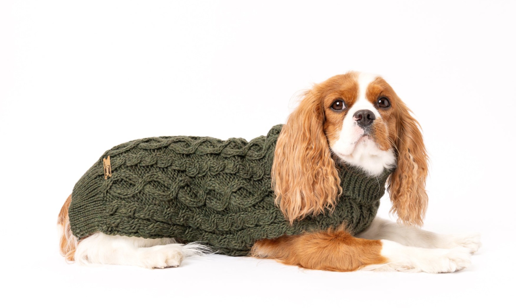 Tata´s Concept Dog Sweater Green - 3