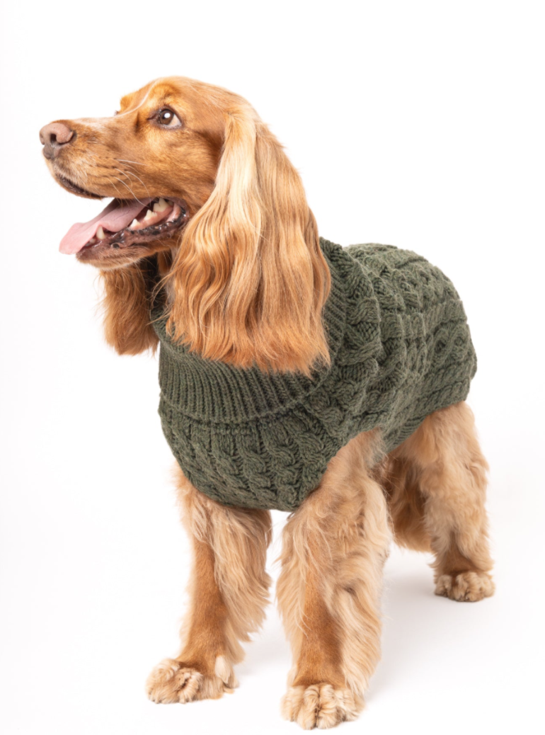Tata´s Concept Dog Sweater Green
