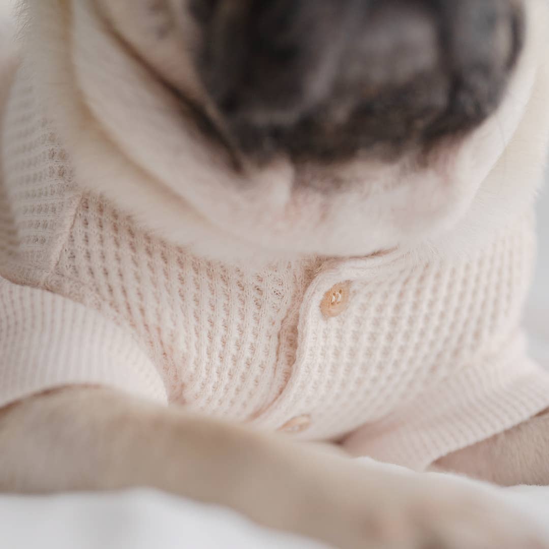 Lambwolf Waffle Dog Sweater - 3