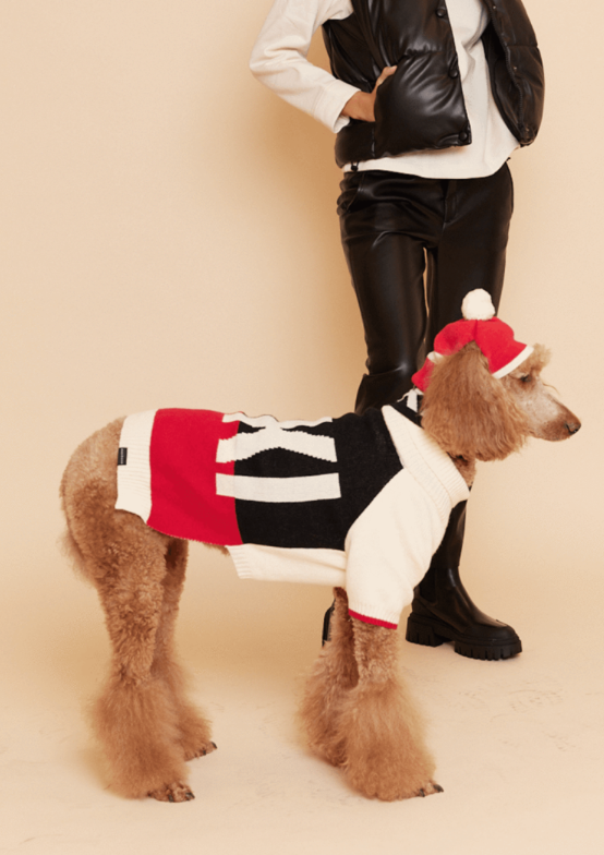 Max Bone Ski Dog Sweater - 5