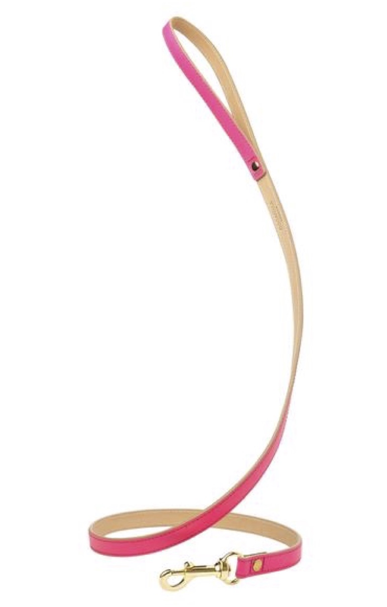 DOGATELLA DOG&nbsp;LEASH NEON PINK - 2