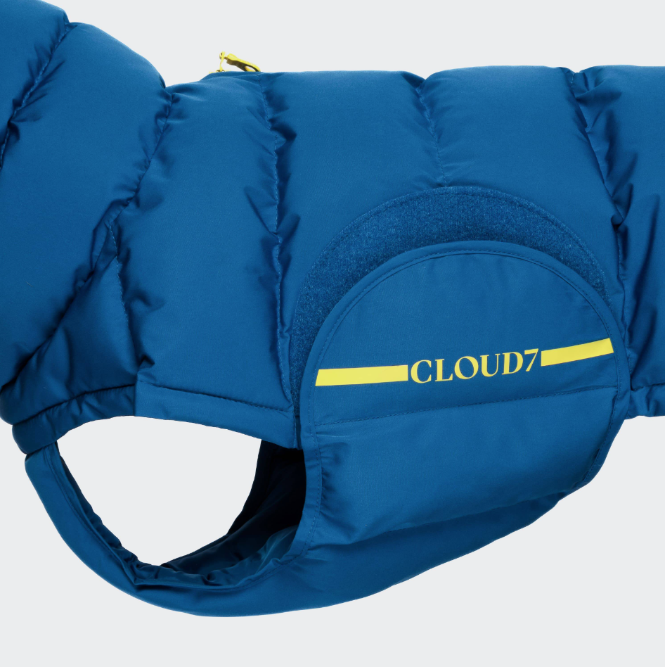 Cloud7 Tax Dog Jacket Alaska Blue - 3