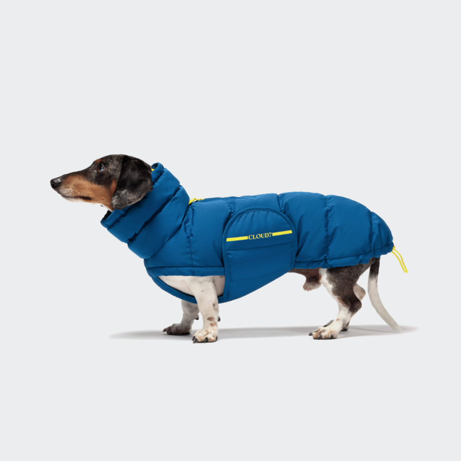Cloud7 Tax Dog Jacket Alaska Blue