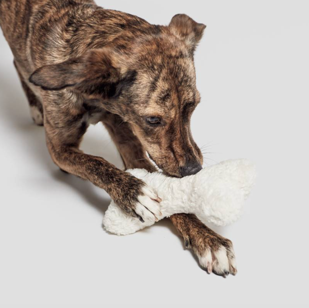 Cloud7 Love Bone Nature White Plush - 2