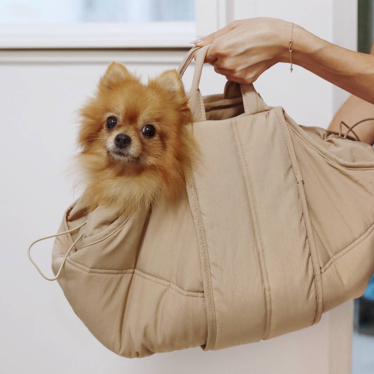 Lambwolf Olla Dog Bag - 3