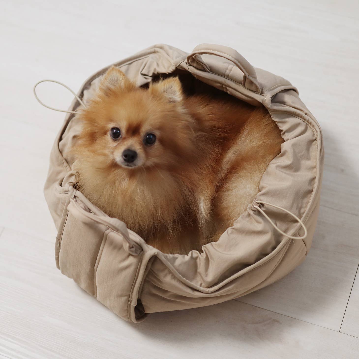 Lambwolf Olla Dog Bag