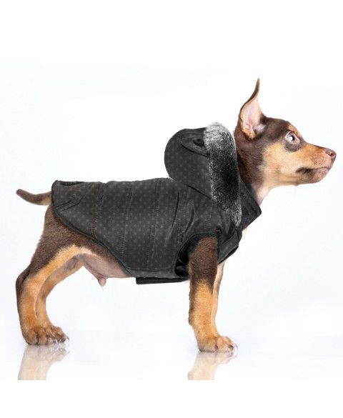 Milk & Pepper Gemini Dog Jacket - 2