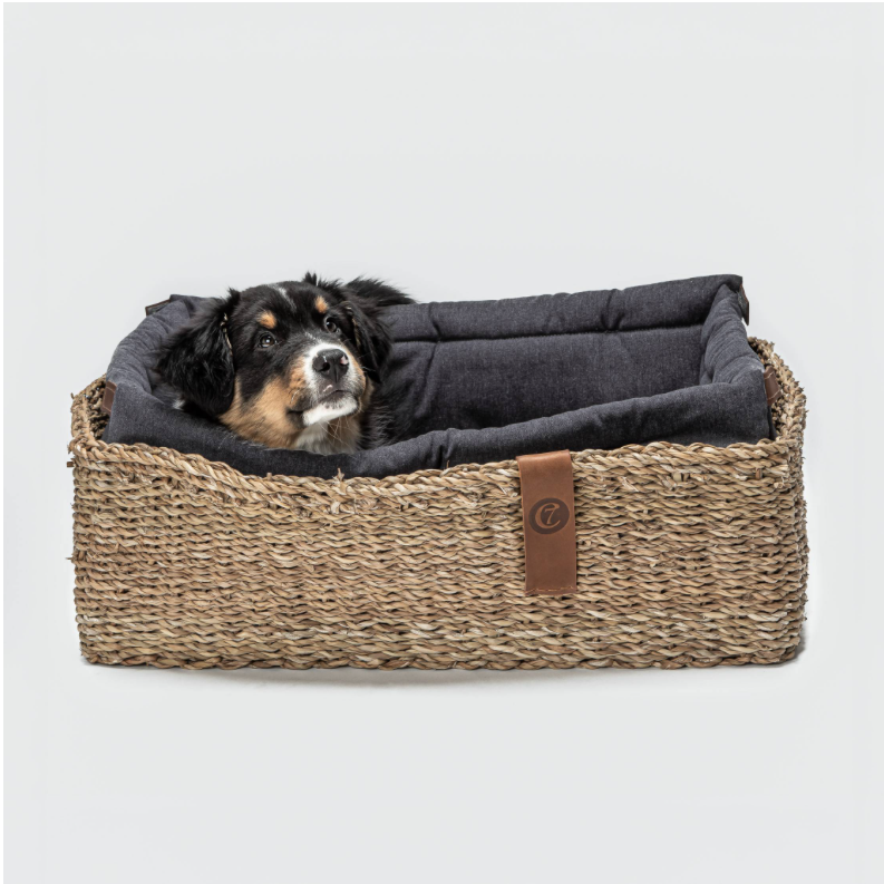 Cloud7 Dog Basket Hideaway Cotton Plum - 2