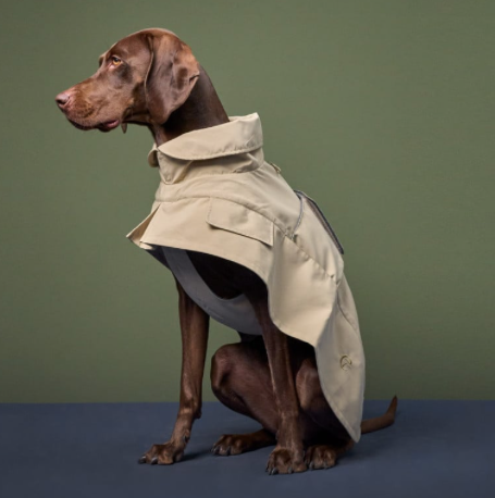 Cloud7 Dog Trenchcoat Oxford Ivory - 2