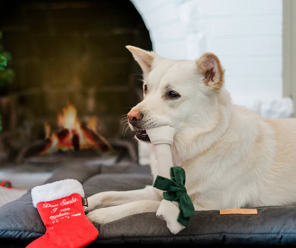 Pet Play Christmas Toy Christmas Stocking - 2