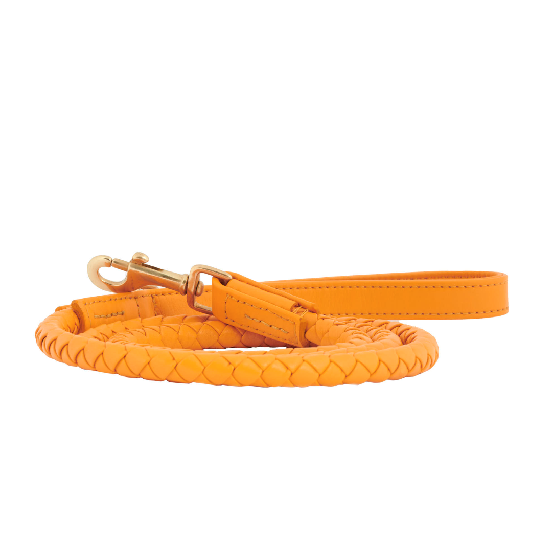 William Walker Dog leash Twisted Curry