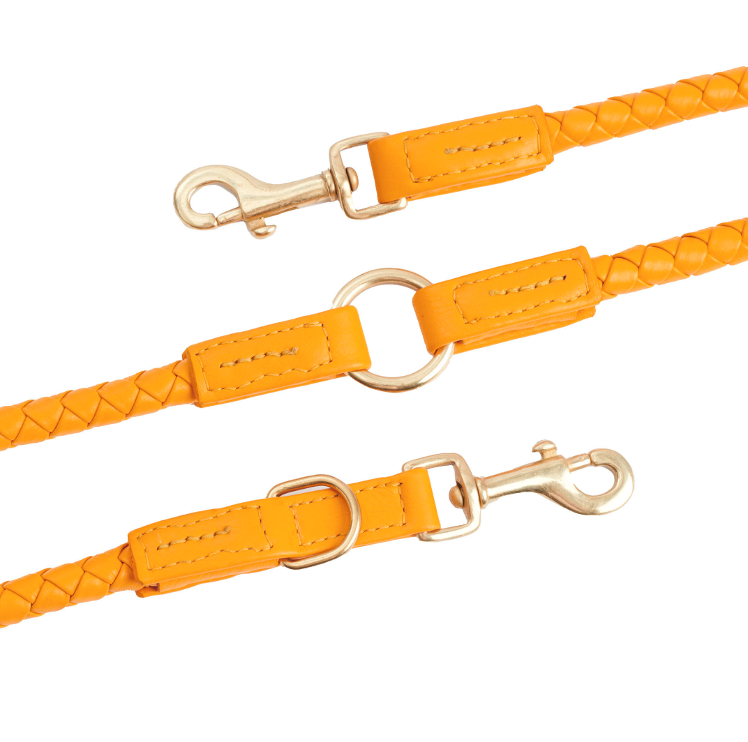 William Walker Dog leash Twisted Curry - 2