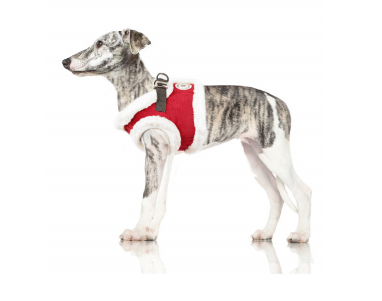 Milk & Pepper Lappi Harness - 2