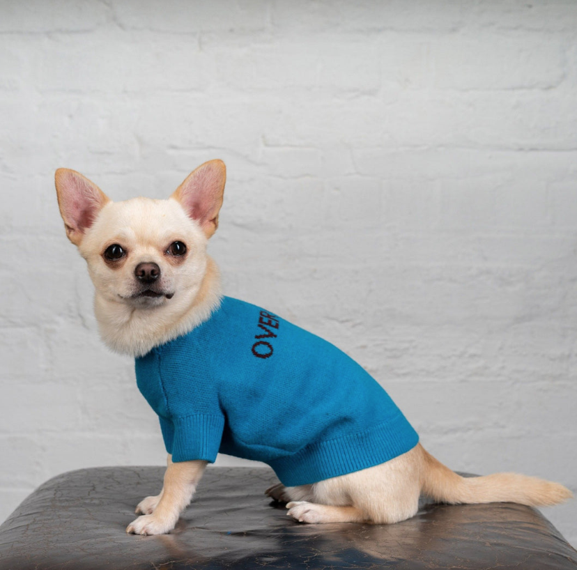 Overglam Logo Dog Jumper Blue - 2