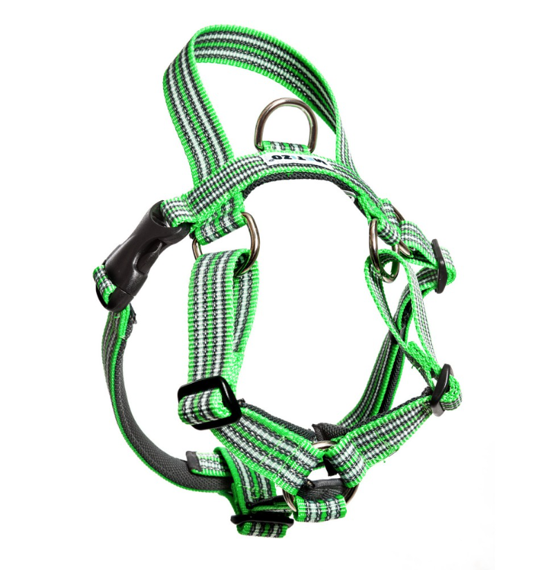 METIZO HARNESS WITH HANDLE GREEN