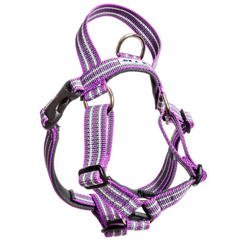 METIZO HARNESS WITH HANDLE PURPLE
