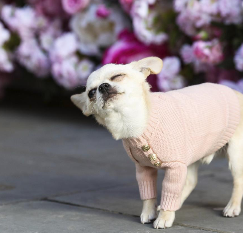 Overglam Button Jumper Pink - 3
