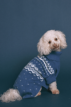 Max Bone Winter Nordic Knit Jumper