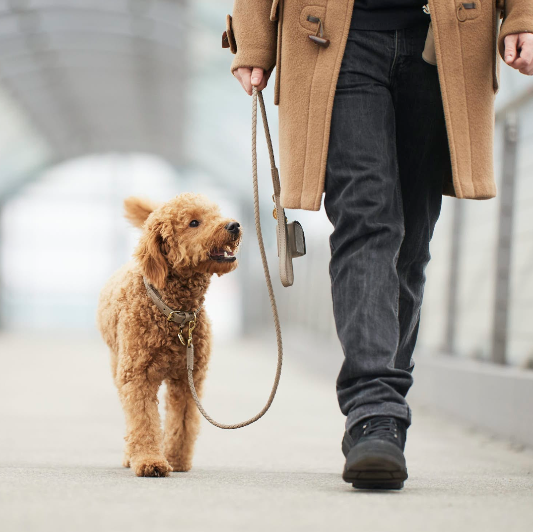 William Walker Twisted Sand Dog Leash - 3