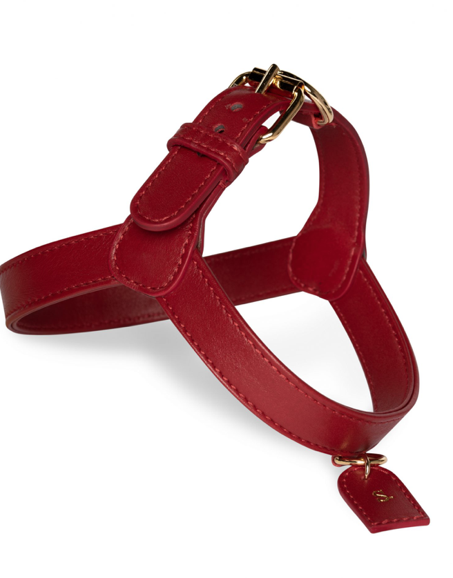 Perro Collection Dog&nbsp;Harness Scarlett