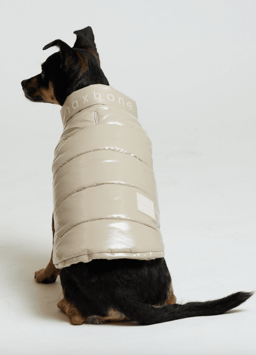 Max Bone Arabella Dog Gilet - 3