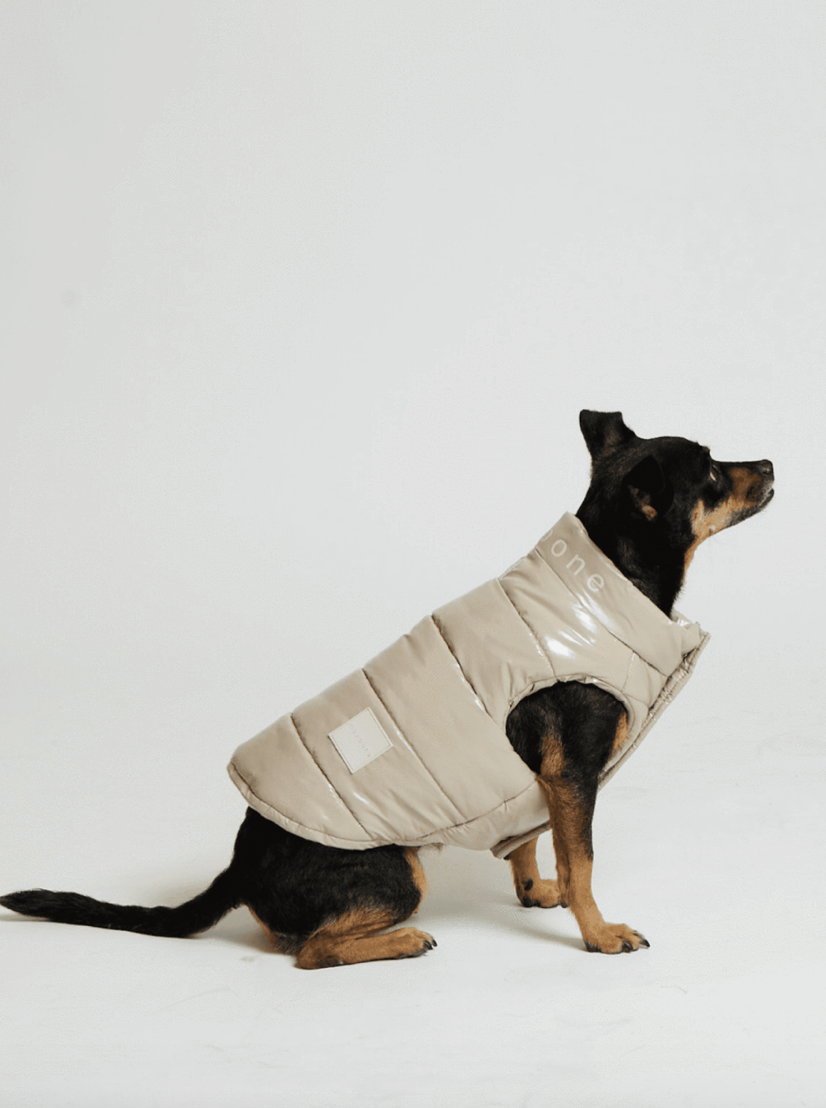 Max Bone Arabella Dog Gilet - 4