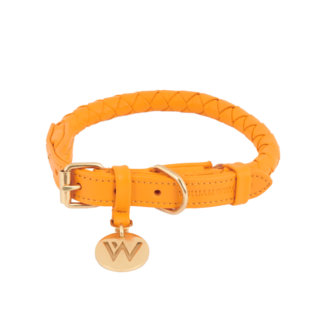 William Walker Dog Collar Twisted Curry