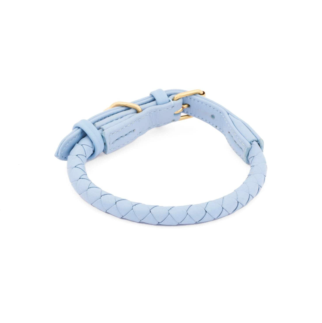 William Walker Dog Collar Twisted Sky - 2