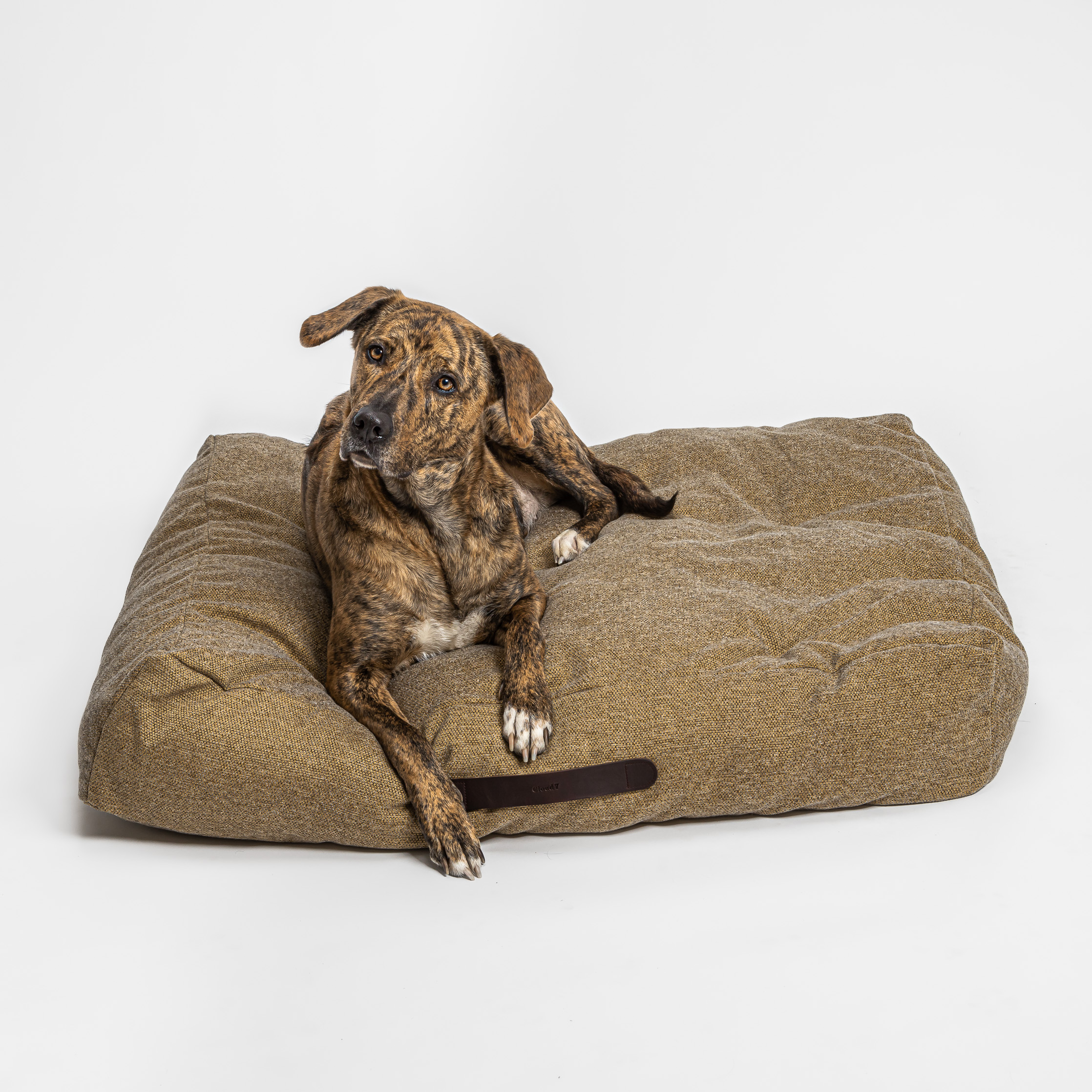 Cloud7 Dog&nbsp;Bed Homey Desert - 2
